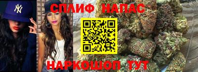 крисы Кунгур