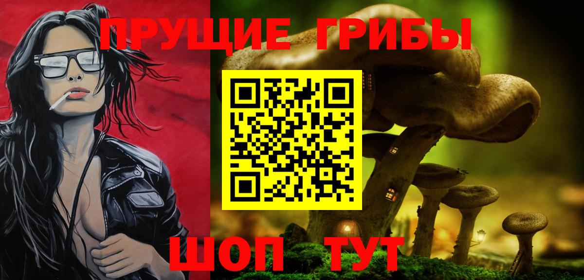 Галлюциногенные грибы Cubensis  Вход с VPN  Зеленогорск 